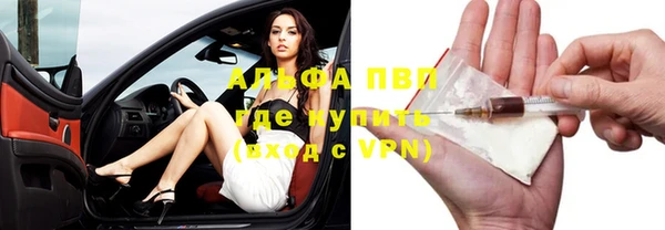 прущие грибы Зеленодольск