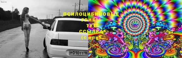 скорость Заволжье
