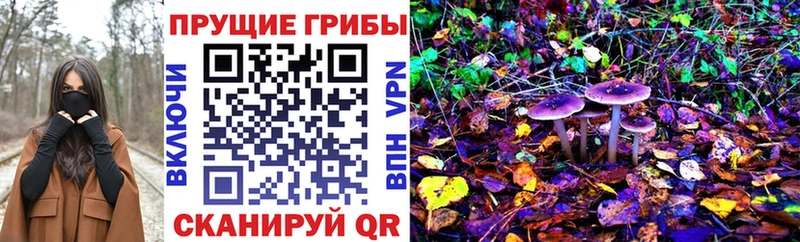 Псилоцибиновые грибы GOLDEN TEACHER  Купить где  Георгиевск 