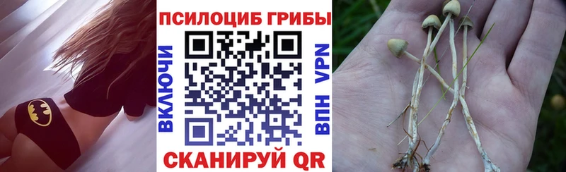 Псилоцибиновые грибы GOLDEN TEACHER Георгиевск