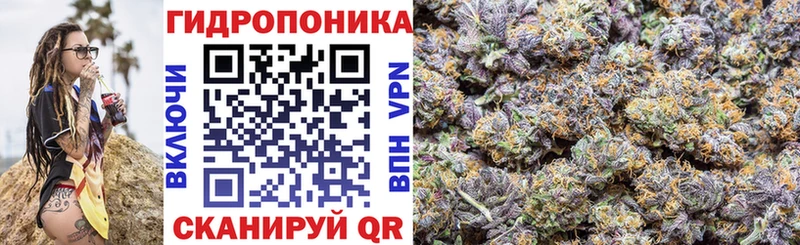 Купить закладки  Георгиевск  Бошки Шишки гибрид 